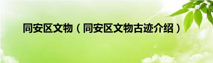 同安区文物同安区文物古迹介绍