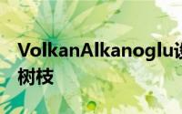 VolkanAlkanoglu设计的雪松桥类似于浮木树枝