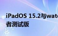 iPadOS 15.2与watchOS 8.3 的第一个开发者测试版