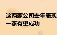 这两家公司去年表现良好 但从长远来看 只有一家有望成功