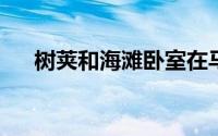 树荚和海滩卧室在马尔代夫的社会隔离