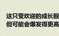 这只受欢迎的成长股在2020年暴涨了160% 但可能会爆发得更高