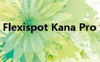 Flexispot Kana Pro 竹立式办公桌设计如何