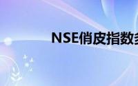 NSE俏皮指数多久更新一次？