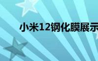 小米12钢化膜展示双曲面显示和打孔