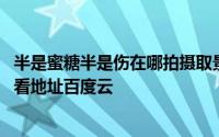 半是蜜糖半是伤在哪拍摄取景的 半是蜜糖半是伤全集免费观看地址百度云