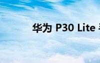 华为 P30 Lite 手机规格怎么样