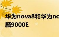 华为nova8和华为nova8Pro大概率会采用麒麟9000E