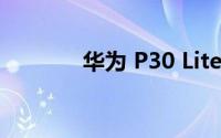 华为 P30 Lite 手机设计如何