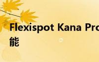 Flexispot Kana Pro 竹立式办公桌有哪些功能