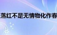 落红不是无情物化作春泥更护花的意思是什么