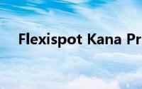 Flexispot Kana Pro 竹立式办公桌评测