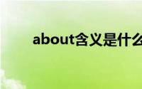 about含义是什么 ABO是什么意思