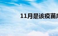 11月是该疫苗库存的关键月份