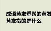 成语黄发垂髫的黄发是什么 成语黄发垂髫中黄发指的是什么