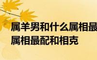 属羊男和什么属相最配最合适 属羊的和什么属相最配和相克