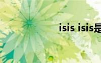 isis isis是什么组织