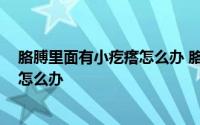 胳膊里面有小疙瘩怎么办 胳膊上有小疙瘩 胳膊上有小疙瘩怎么办