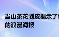 当山茶花剥皮揭示了龚孝珍和康天的引人注目的浪漫海报