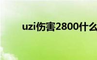 uzi伤害2800什么梗 2800是什么梗