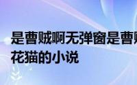 是曹贼啊无弹窗是曹贼啊最新章节全文阅读五花猫的小说