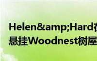 Helen&Hard在挪威峡湾上方的松树上悬挂Woodnest树屋