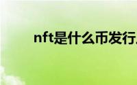 nft是什么币发行上限 nft是什么币