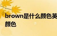 brown是什么颜色英语怎么读 brown是什么颜色