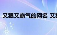 又狠又霸气的网名 又狠又霸气的网名有哪些