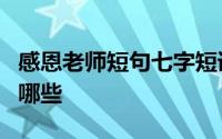 感恩老师短句七字短语 感恩老师的8字短句有哪些