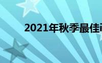 2021年秋季最佳iPhone 11保护壳