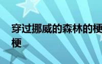 穿过挪威的森林的梗 穿过挪威的森林是什么梗