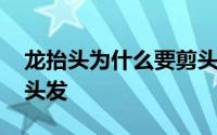 龙抬头为什么要剪头发呢 龙抬头为什么要剪头发