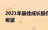 2021年最佳成长股在经济增长的阵痛中寄予希望