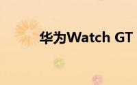 华为Watch GT 2e手表设计如何