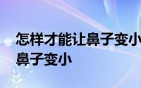 怎样才能让鼻子变小不整容视频 怎样才能让鼻子变小