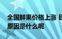 全国鲜果价格上涨 目前全国鲜果价格上涨的原因是什么呢