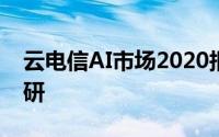 云电信AI市场2020报告结合全球企业深度调研