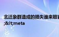 北迁象群造成的损失谁来赔官方是怎么回应的</title><meta