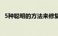 5种聪明的方法来修复和提高您的信用评分