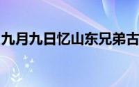 九月九日忆山东兄弟古诗翻译古诗含义是什么