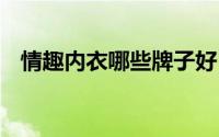 情趣内衣哪些牌子好 情趣内衣哪个牌子好