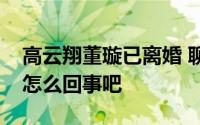 高云翔董璇已离婚 聊聊高云翔董璇已离婚是怎么回事吧