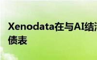 Xenodata在与AI结清账户后立即分析资产负债表