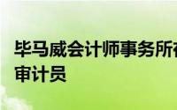 毕马威会计师事务所在数字创新领域担任系统审计员