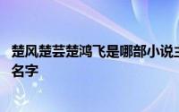 楚风楚芸楚鸿飞是哪部小说主角 主角是楚风楚芸小说叫什么名字