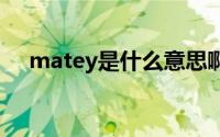 matey是什么意思啊 matey是什么意思