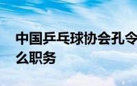 中国乒乓球协会孔令辉的消息 孔令辉担任什么职务