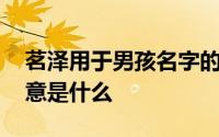 茗泽用于男孩名字的寓意 男孩取名泽字的寓意是什么