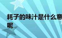 耗子的味汁是什么意思 耗子尾汁是什么意思呢